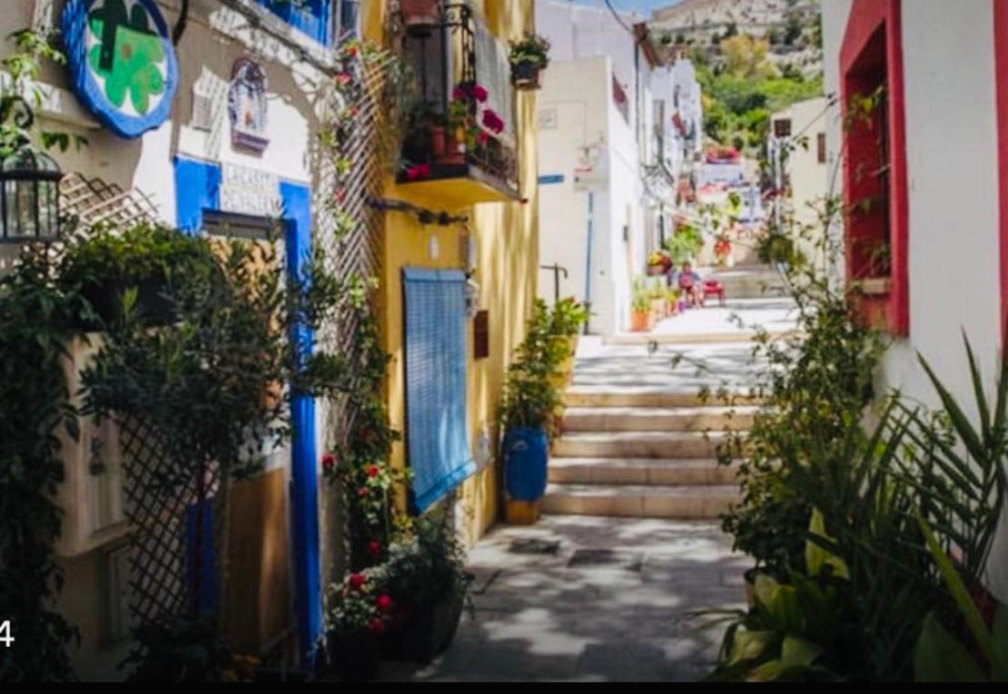 Casita Del Flamingo En Casco Historico Villa Alicante Luaran gambar